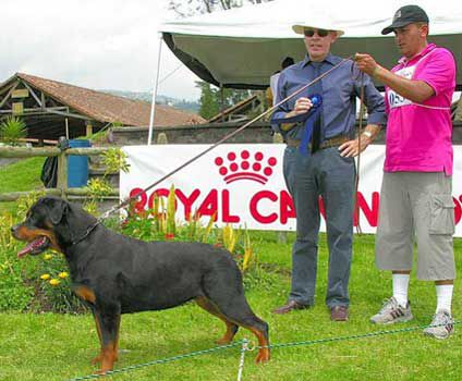 Abbie DVC de Monte Verde