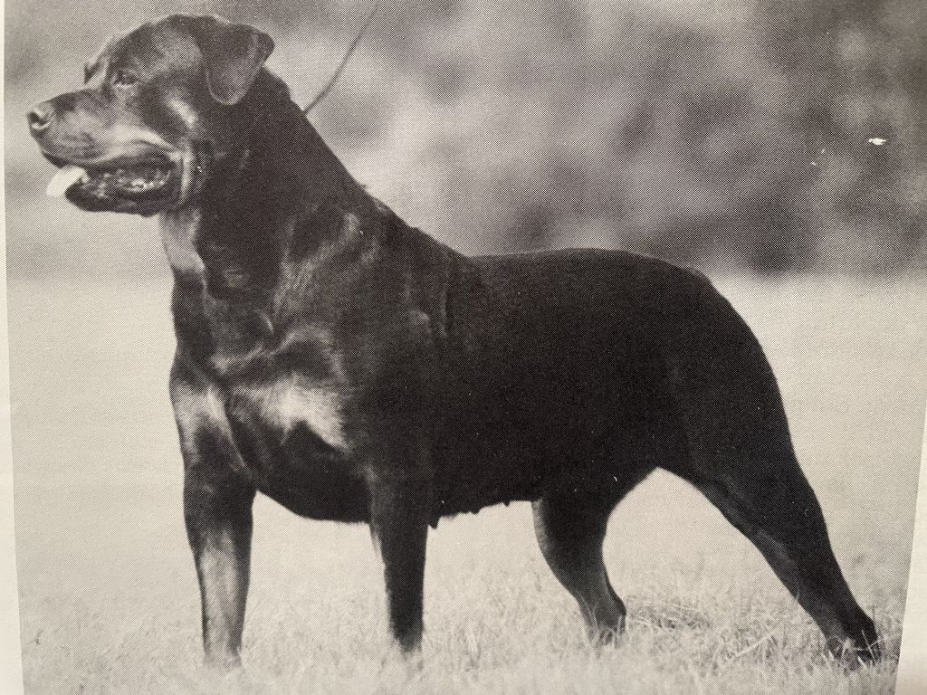 Quicka Cajun
