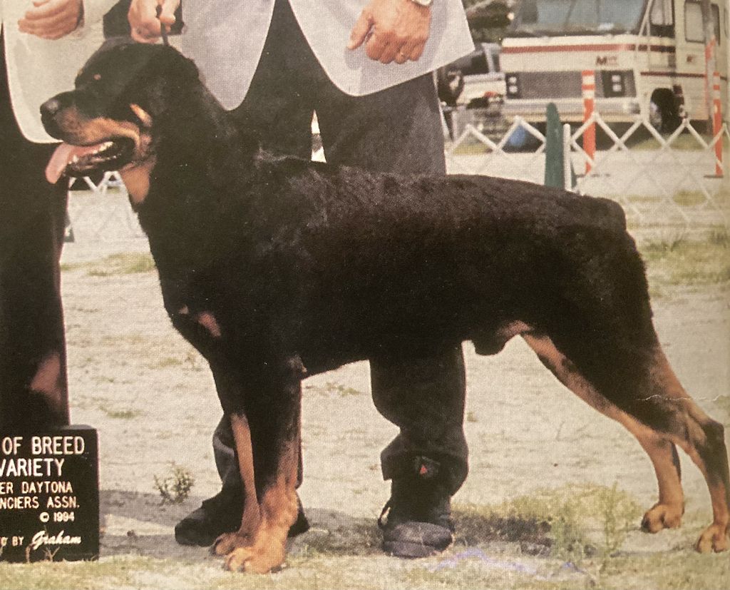 Bocphis von Sundown