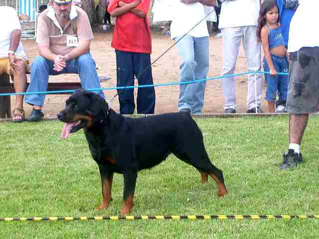 Xandra Don Zum Ritter