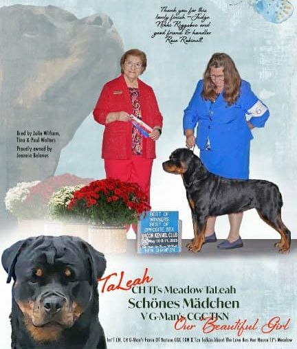 TJ's Meadow TaLeah Schones Madchen V G-Man's