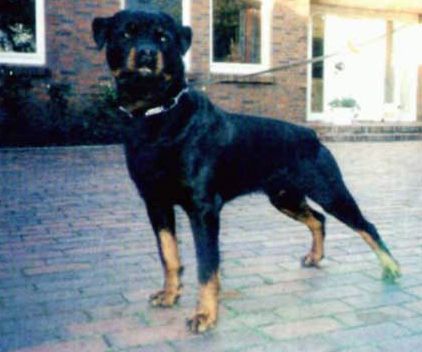 Ad von Burgthann
