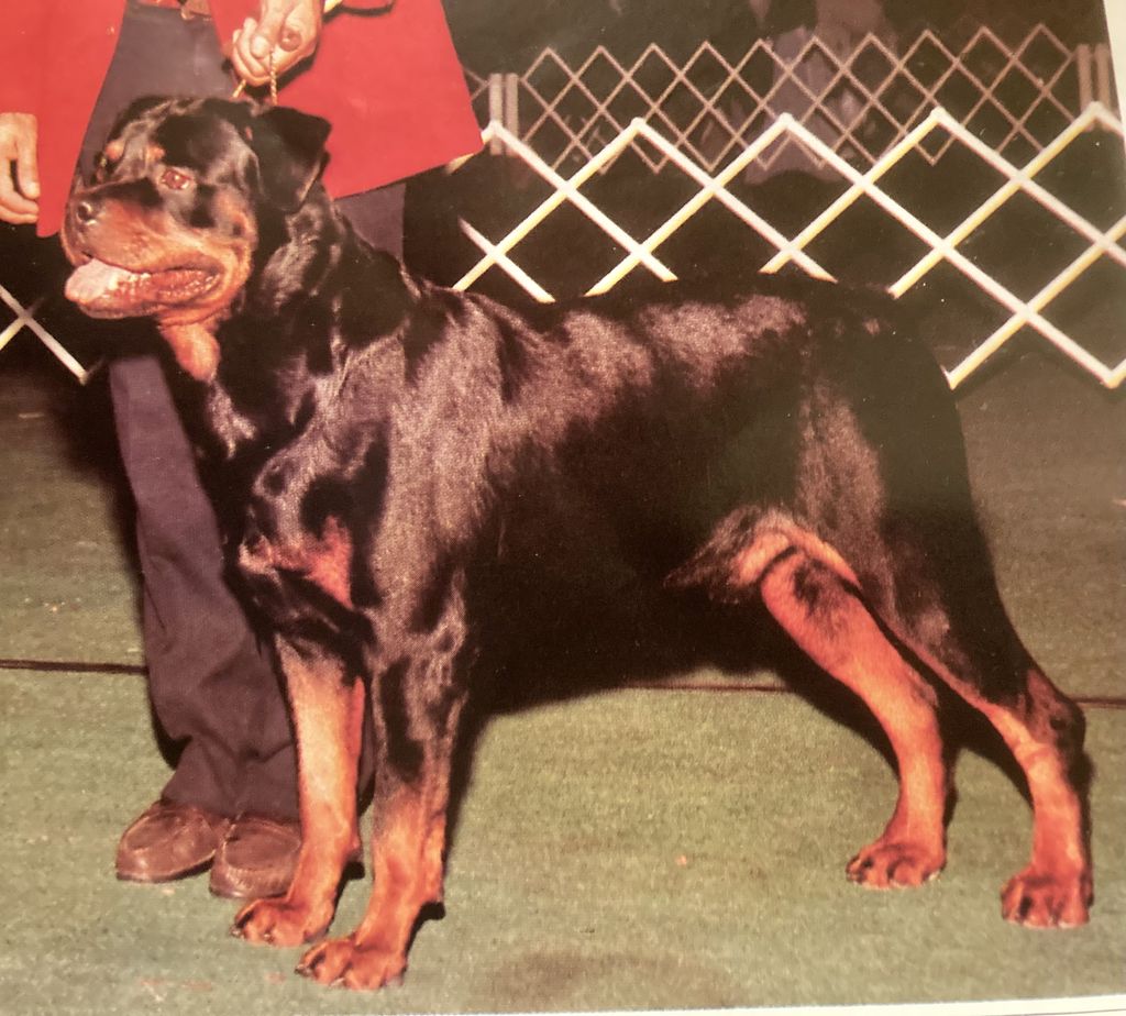 Heimgarde’s Evon von Brando