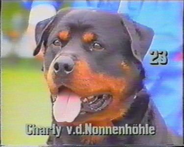 Charly von der Nonnenhohle