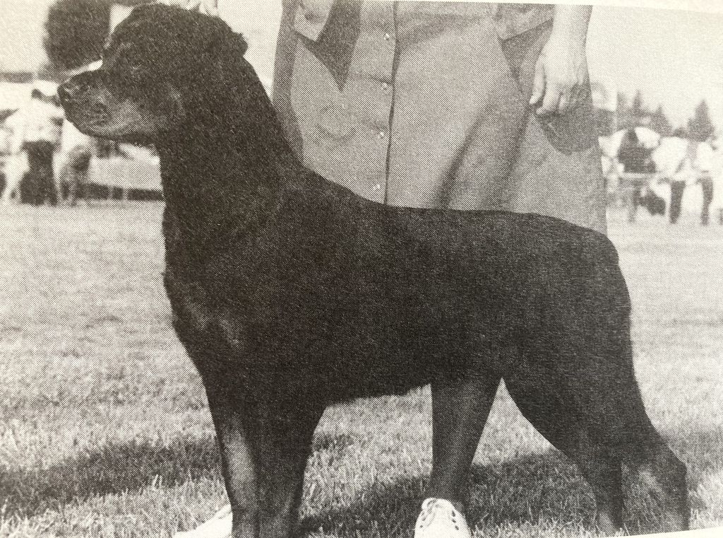 Alexia von Morgen Carroll