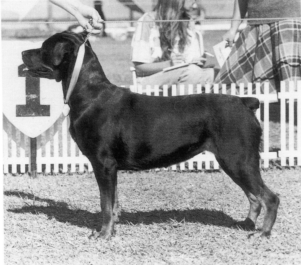 Heatherglen Ma Lulu