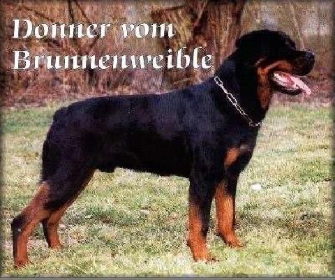 Donner vom Brunnenweible