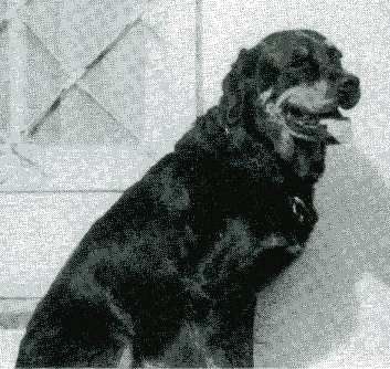 Zeus von Morgen Carroll